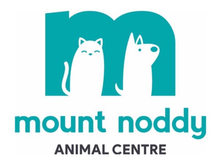 Mount Noddy logo